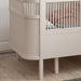 Sebra beşik Baby & Jr., Birchbark Rose, yakın plan